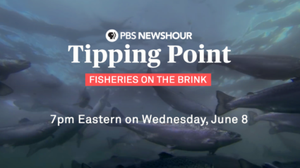thumbnail_Fisheries - 7pm June 8-2