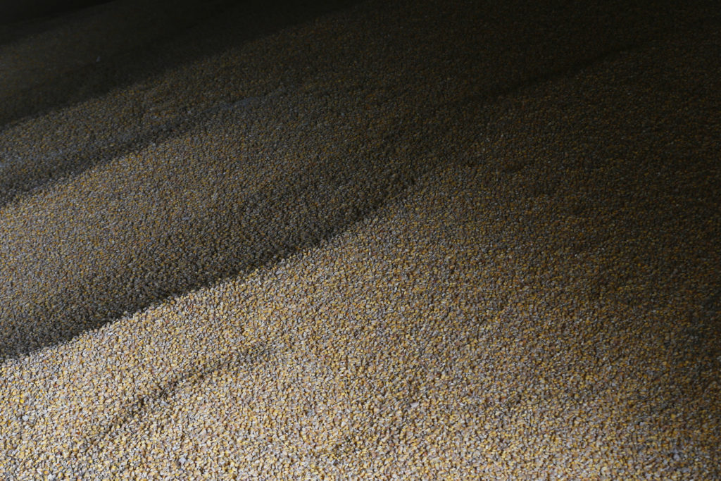 A Grain Terminal In Odesa Region, Amid Russia's Invasion Of Ukraine