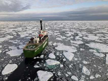 Greenpeace's Arctic Sunrise ship navigates through floating ice in the Arctic Ocean, September 15, 2020. Picture taken with a drone. Photo by Natalie Thomas/REUTERS