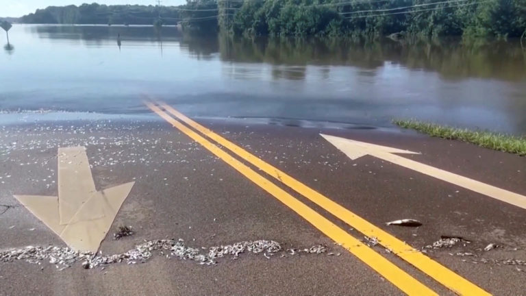 Flood waters in Mississippi cover roads and fields