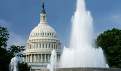 The dome of the U.S. Capitol is seen beyond a fountain on the day the House of Representatives returns from its August recess to vote on the Senate-passed H.R. 6376, the "Inflation Reduction Act of 2022" in Washington, U.S., August 12, 2022. Photo by Kevin Lamarque/REUTERS
