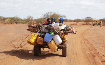 Internally displaced Somali children ride on a donkey cart as they flee from the severe droughts, near Dollow town, Gedo R...