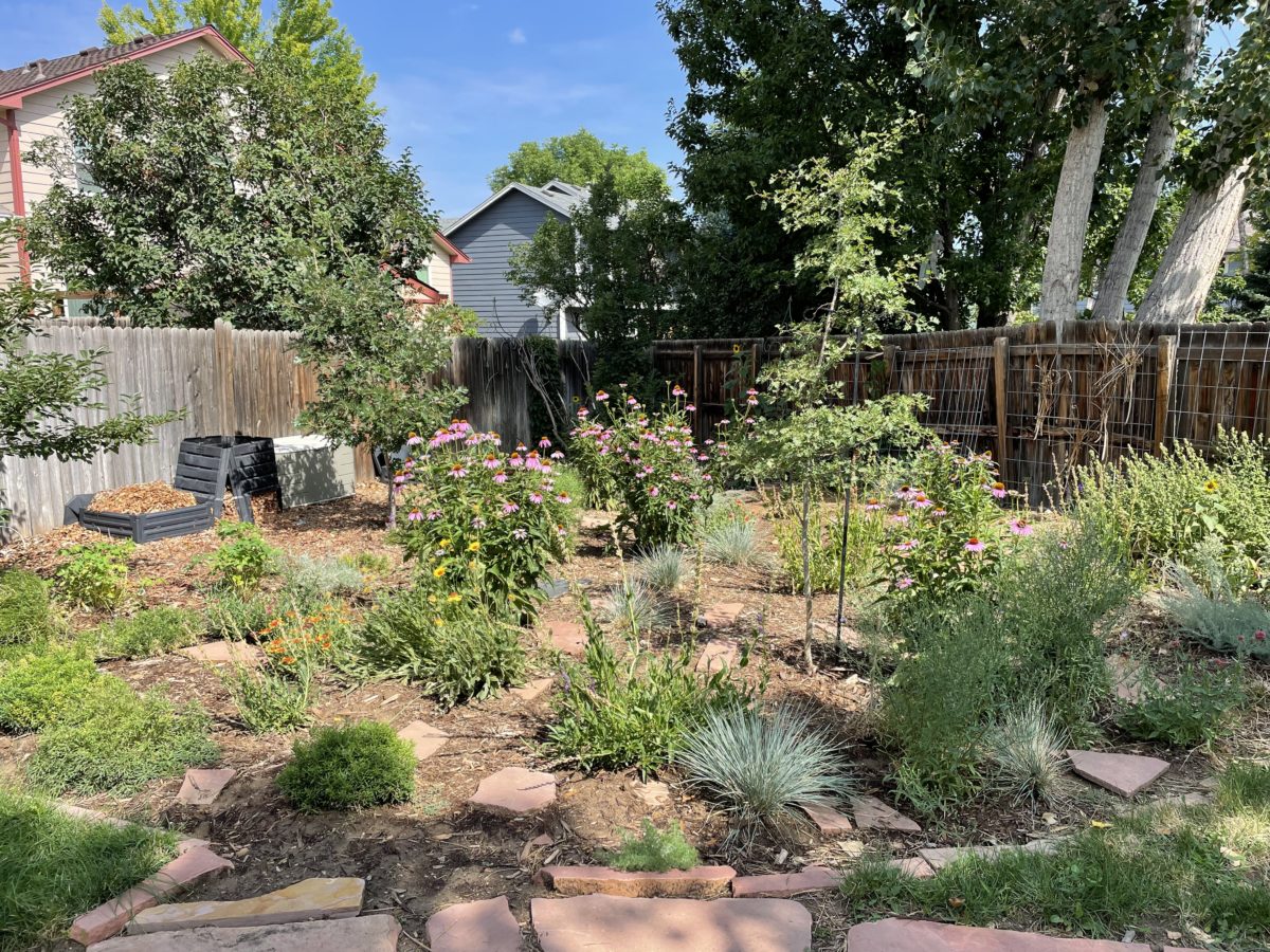 What is xeriscaping? How you can turn your lawn into a sustainable