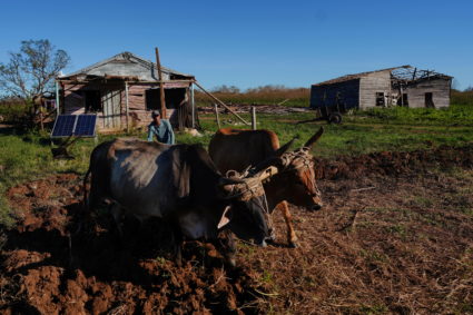 Aftermath of Hurricane Ian in Paso Quemado, Cuba