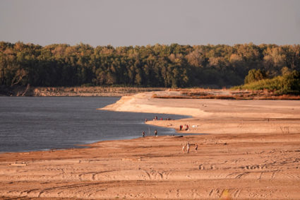 Barges make their way down the Mississippi River during low water levels
