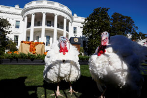 U.S. President Biden pardons the National Thanksgiving Turkeys in the annual ceremony at the White House
