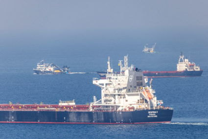 Cargo ship Despina V, carrying Ukrainian grain, is seen in the Black Sea off Kilyos near Istanbul, Turkey November 2, 2022. Photo by Umit Bektas/REUTERS