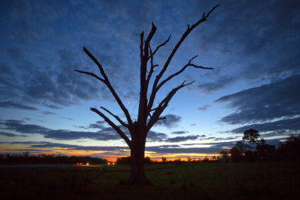 Tornadoes slam Arkansas, shredding homes and tossing cars