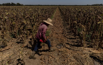 Ongoing drought in California
