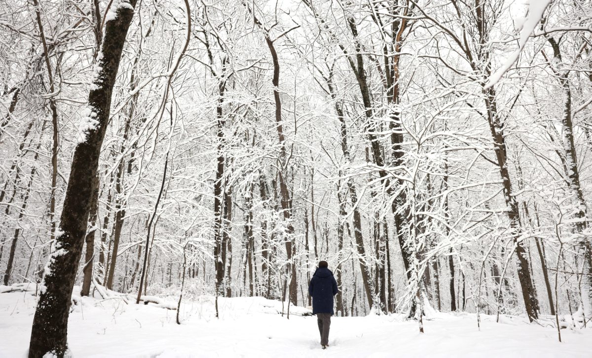 Heavy snow blankets Northeast again as storm cleanup begins in South ...