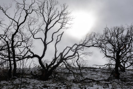 Massive winter storm passes along the West coast