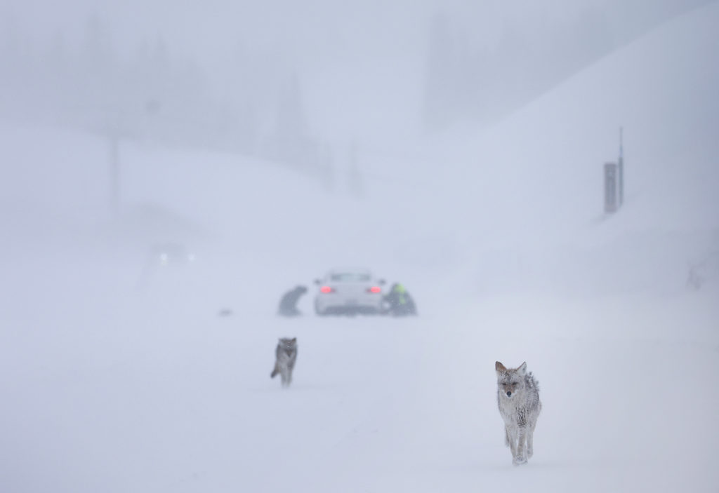 California Hit By Another Winter Storm, Deepening The Already Historic Snowpack In Mountain Regions