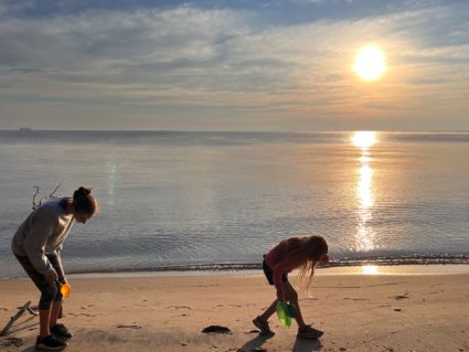 How amateur fossil finds translate into scientific discovery