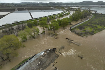 Floodwater rushes into farmland through the breach of a levee on the Pajaro River