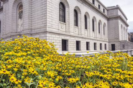 Central Public Library, exterior.