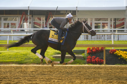 Horse Racing: Preakness-Workouts