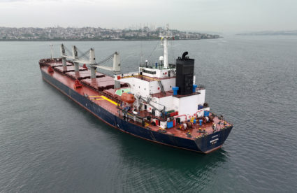Vessels carrying grain wait in the southern anchorage of the Bosphorus in Istanbul