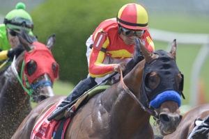 Horse Racing: 148th Preakness