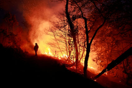 A Galician firefighter tackles flames in a forest during an outbreak of wildfires following a prolonged period of drought and unusually high temperatures, in Piedrafita, Asturias, Spain, March 31, 2023. Photo by Vincent West/REUTERS