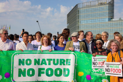 Climate activist Greta Thunberg attends a rally calling on members to pass a nature restoration law, in Strasbourg