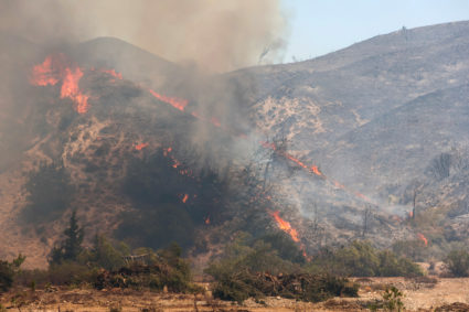 Wildfire burns on the island of Rhodes