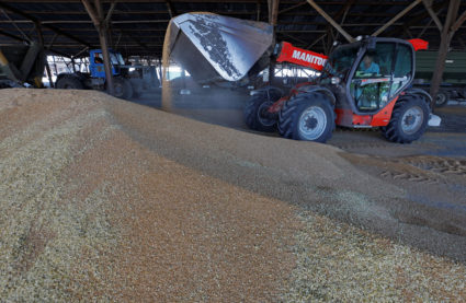 Wheat harvest in the Donetsk Region