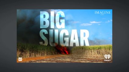 BigSugar