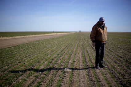 Black Farmers Vilsack
