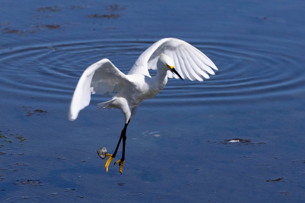 Desalination advances in California, despite opponents and looming alternative