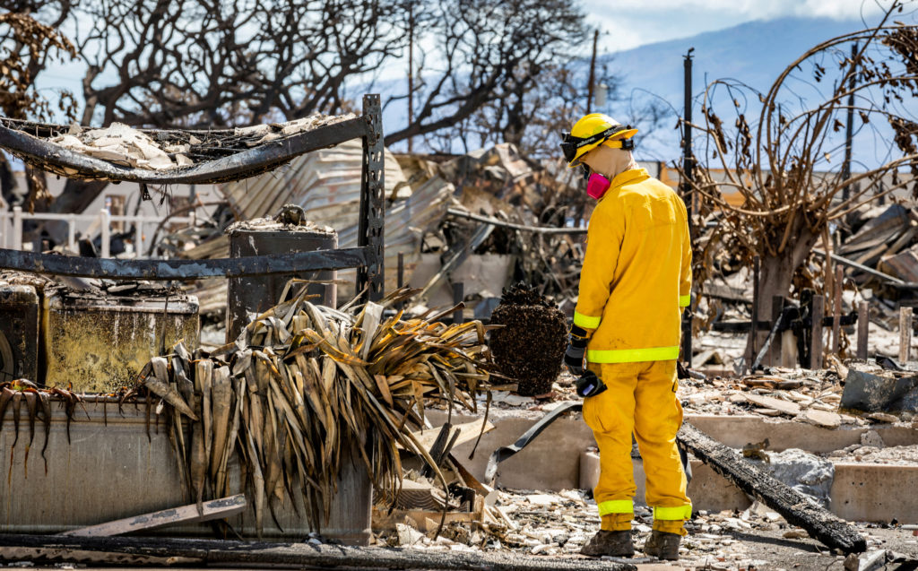 Search, rescue and recovery personnel conduct search operations of areas damaged by Maui wildfires