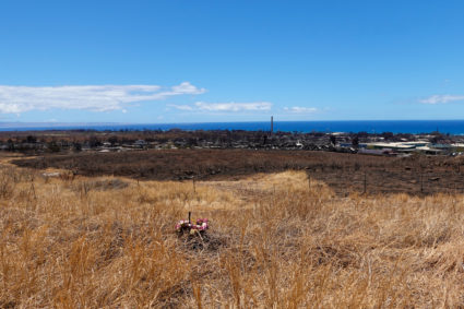 A lei of flowers sits on the grass above the fire ravaged town of Lahaina