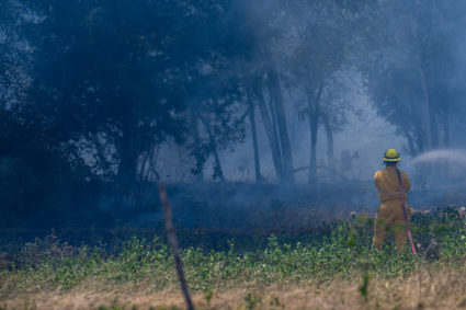 A firefighter works to put out a wildfire during an excessive heat warning on August 08, 2023 in Hays County, Texas. The city of Austin and its neighboring counties continue to grapple with a prolonged heat wave, with excessive heat advisories being issued across the state. Photo by Brandon Bell/Getty Images