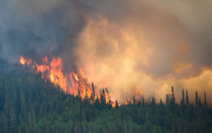 Flames reach upwards along the edge of a wildfire as seen from a Canadian Forces helicopter in Quebec