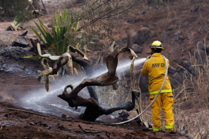 Maui County firefighters fight flare-up fires on the island
