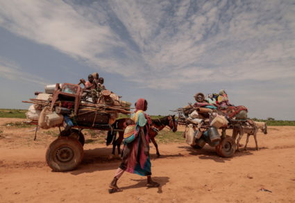 A Sudanese woman, who fled the conflict in Murnei in Sudan's Darfur region, walks beside carts carrying her family belongings upon crossing the border between Sudan and Chad in Adre, Chad August 2, 2023. Photo by Zohra Bensemra/REUTERS