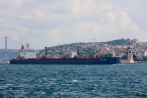 Liberia-flagged bulk carrier Anna-Theresa transits Istanbul's Bosphorus