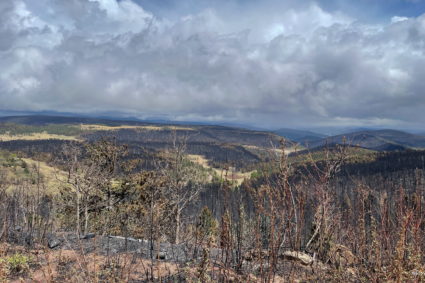 U.S. Forest Service sued over flooding deaths in the wake of New Mexico's largest recorded wildfire