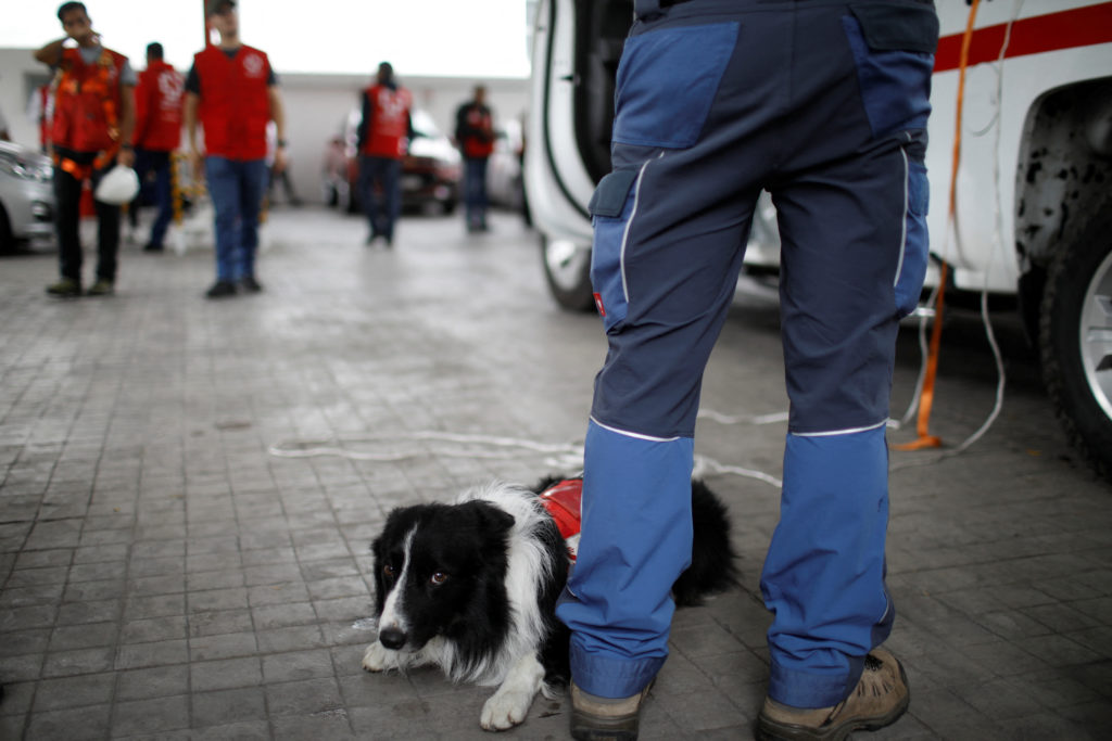 Red Cross rescue dogs wait to help after Hurricane Otis hit Acapulco, in Mexico City