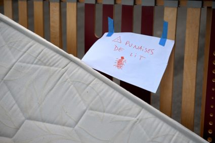 Bedbugs are making France itchy, and the 2024 Summer Olympics crowds are coming