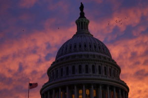 Birds fly over the main rotunda of the U.S. Capitol building at sunset after a sixth round of voting for a new Speaker of the U.S. House failed to elect a new Speaker on the second day of the 118th Congress at the U.S. Capitol in Washington, U.S., January 4, 2023 Photo by Evelyn Hockstein/REUTERS