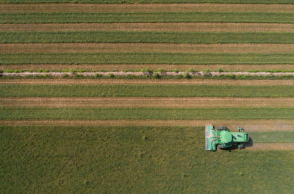 Arizona alfalfa farmers clash with foreign firms over water use
