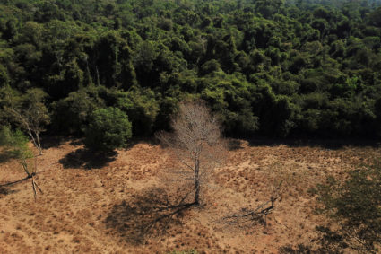 FILE PHOTO: Scientists from the State University of Mato Grosso identify signs of climate change on the border between Ama...