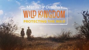 WildKingdom