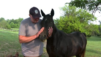 How a former D.C. police officer found direction by rescuing mistreated horses