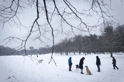 First snowfall in over 700 days in New York City