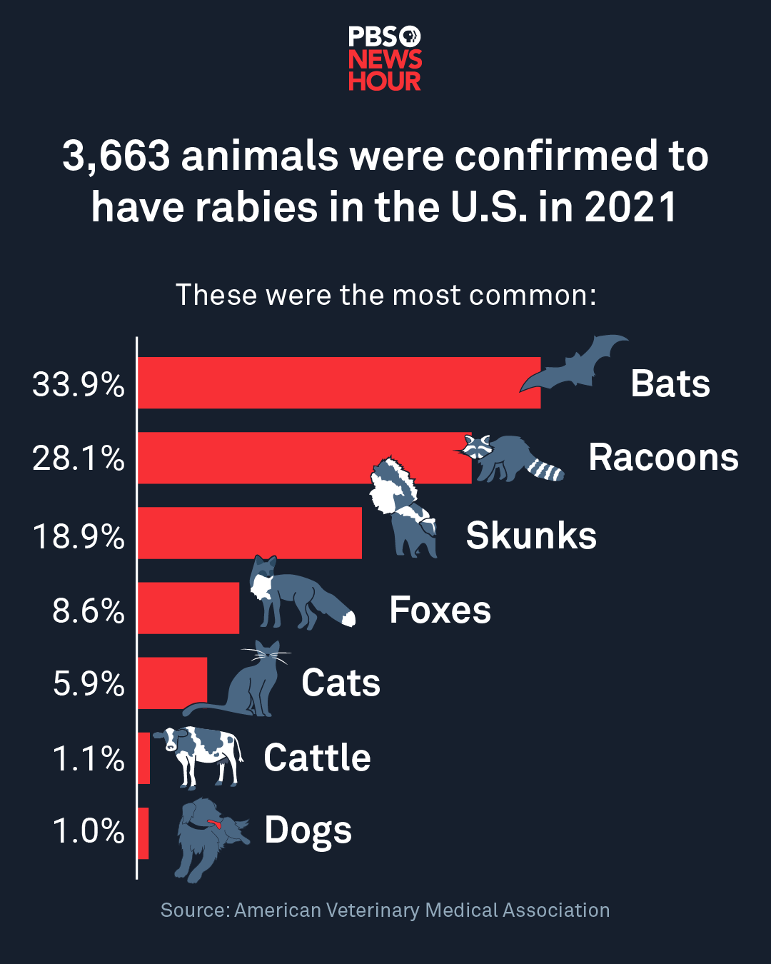 Why experts worry more pet owners may skip rabies shots over vaccine