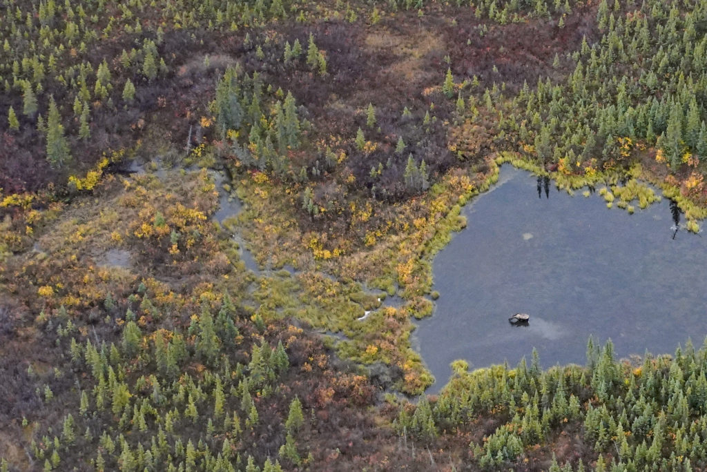 GATES OF THE ARCTIC NATIONAL PARK AND PRESERVE, AK - SEPTEMBER