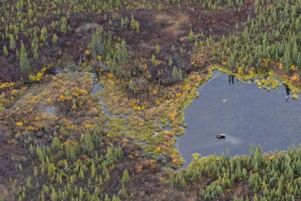 What is Alaskapox? Here's a quick guide