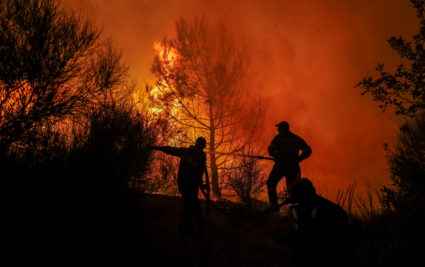Wildfire in the region of Evros