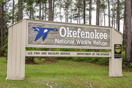 Folkston, Georgia, Okefenokee National Wildlife Refuge, Entrance sign. Photo by Jeffrey Greenberg/Universal Images Group via Getty Images
